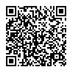 这次一起参加任务的六位修士中只有叶芸和蒋欣――这是小女修的名字二维码生成