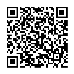 这次不过是为了讨好花媚儿壮大红叶修炼小队的门面才这么做的二维码生成