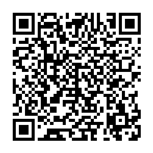 这次也是听朝迪娜说到想给凌桦请一家专门的律所以便应对法律相关的事宜二维码生成