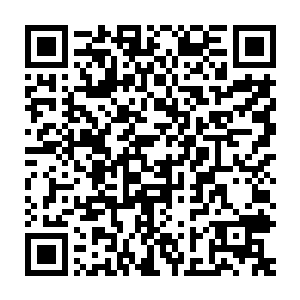 这次你帮了我们这么多现在到了我们地头了就让我们尽一下地主之谊吧二维码生成