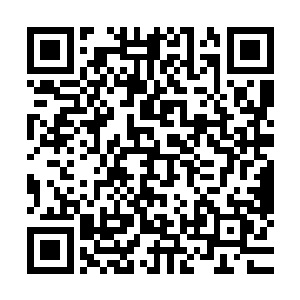 这次你的五十万块下品灵石和你的终极灵器都被人家给骗走了二维码生成