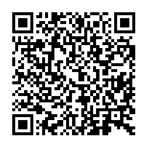 这次來苏北市主要是为了谈最近苏北市政fu的一个大型的旧城改造计划二维码生成