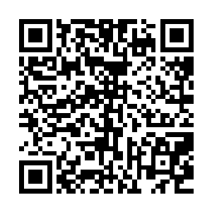 这次凌菲又再次刷新了对龙战非人类一般的强悍的体力的认知二维码生成