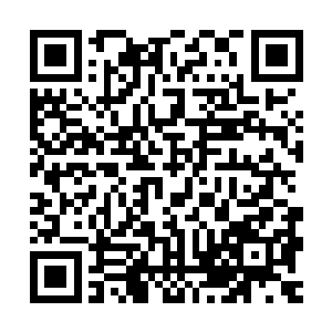 这次出现的人和上次城主在这里出现的那些人已经不是同一批了二维码生成