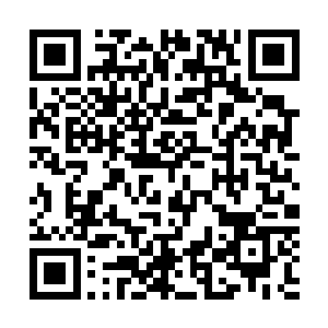 这次动老爸的代价就是要把他手下的这个杀手组织彻底抹去二维码生成