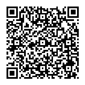 这次发现暗水派他召集人手传送来修魔界竟然意外的在修魔界地域上遇到失踪许久的绵老二维码生成