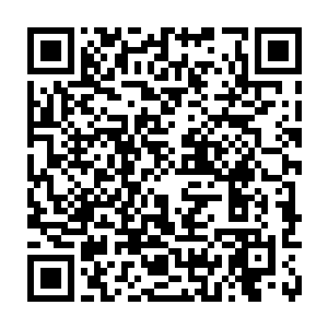 这次在原成家族地藏宝库内的收获要远远地高于上次在北方龙家族地的藏宝库二维码生成