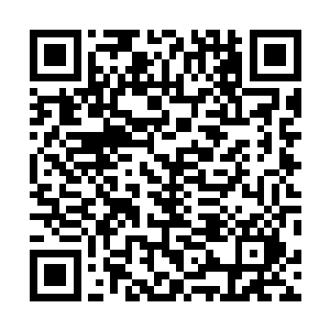 这次宗主给她是任务便是找到携带魔星之人并且带回宗门二维码生成