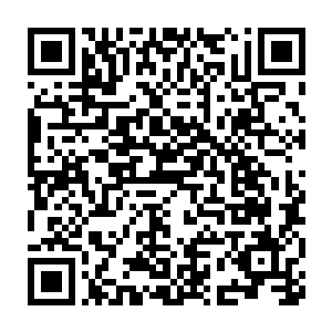 这次就由您一个人代表许家和八大族长前往星海和四大超级家族谈判二维码生成