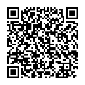 这次帝国特别行动科一连捣毁了万熊市之内四五个反抗组织的据点二维码生成