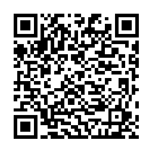 这次把姚成材的尸体丢在张达路过的地方也是为了试探他二维码生成