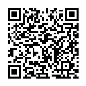 这次拍卖他是打算将自己帮派内的一些没人用的灵草清理一番二维码生成