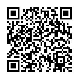 这次拍卖会确实会有丙火阳星石和万年壬水精母这两种材料出现二维码生成