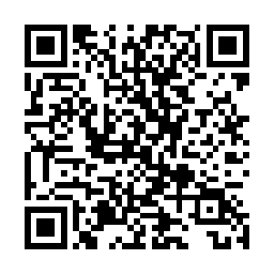 这次拍卖会能够出现这么多的宝物就已经令他十分的满足了二维码生成