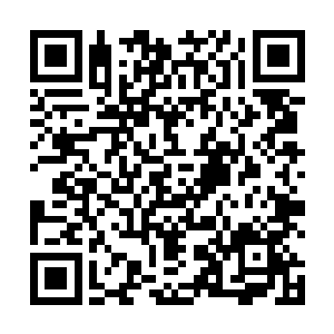这次拍卖跟支付宝合作的消息早已经通过官网传了出去二维码生成