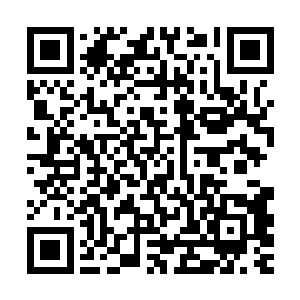 这次斗医大会只有华夏中医世家和华夏中医隐门才能来参加的啊二维码生成