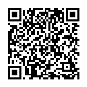 这次无论是精灵还是矮人他们都已经答应了会参加这次战斗二维码生成