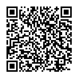 这次是要依靠您家里的那柄天寒玉如意才有可能无损的取到龙行草二维码生成