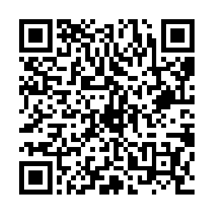 这次有了各位的帮助相信我们的实力也会有一个很大的增长二维码生成