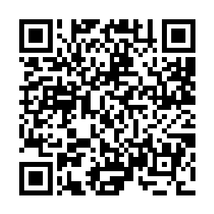 这次白帝宁愿付出派系结盟政治代价也要多拿几分白属本源二维码生成
