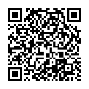 这次的主要目的就是和风天翔商量一下对付紫色松鼠的办法二维码生成