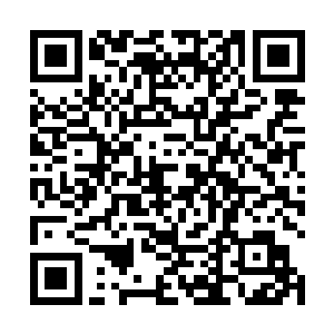 这次算是破坏了蜀山派酒剑仙与南盗侠一派的传功大计二维码生成