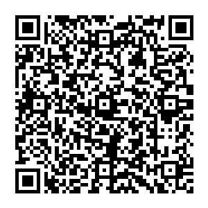 这次许紫烟用心在体会她敏锐地感觉到从拳头处荡漾出一圈肉眼难见的波纹将小白那巨大的力量分散传导了出去二维码生成