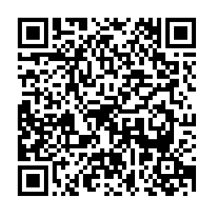 这次雷欢喜同志代表祝南镇参加国际海洋协会第一届世界海洋节赞誉归来二维码生成