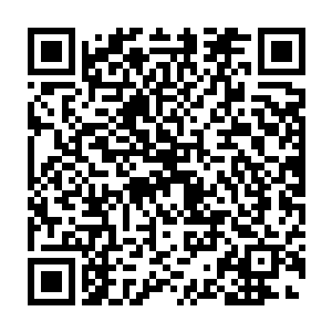 这正是愤怒利用曼殊沙华之剑和曼陀罗华之盾所召唤出的白蟒和黑狼二维码生成