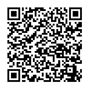 这段时间冯正诚没少风闻一些地级市的市委书记在省里活动甚至到京城活动二维码生成