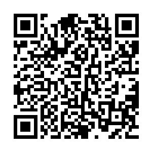 这段时间小树上的黄金独角仙的果实才每日源源不绝的生出来二维码生成