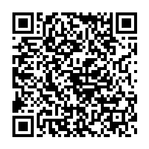 这段时间来落在夭华手中所受的一切似乎没有在他身上留下一丝痕迹二维码生成
