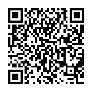 这段还没有开始就已经结束的感情就在现实的面前无疾可终了二维码生成
