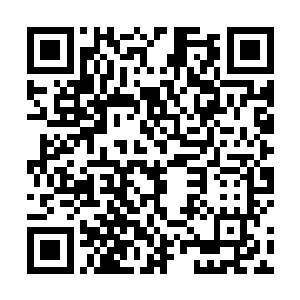 这满是生机的丛林世界有着自己的社会活动和市场循环二维码生成