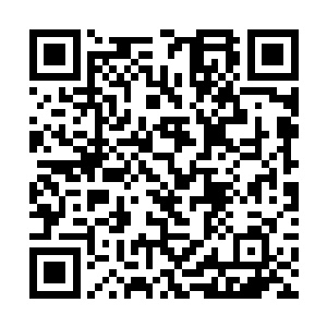 这火凤凰作用于凌波微步上倒是真的没有多大的用处二维码生成