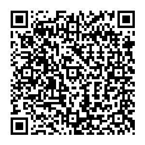 这炮烙之上 看似沒有什么 实则 四周燃烧着熊熊大火 但这种火焰 以凡眼根本就看不见二维码生成