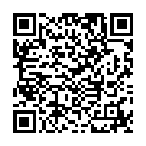 这点时间对于一个生命漫长的修士而言也着实算不上什么二维码生成