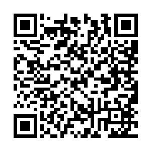 这熟悉的称呼让我确定眼前的依旧是伊丽莎的同时二维码生成