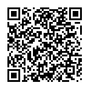 这片区域也只是在流墨墨和雪如楼过来时候吸引了他们多看了两眼而已二维码生成