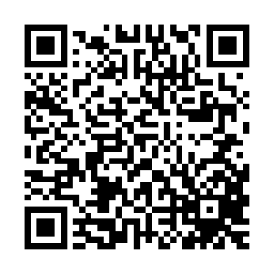 这片区域由于连续承受两次剑气灵山的攻击已经受到了严重破坏二维码生成