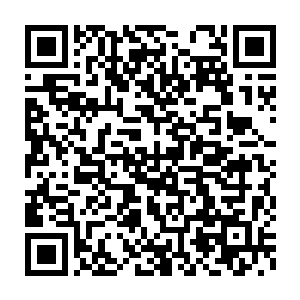 这片在靠前的空地肯定是小熊人用白家的名义帮他们弄来的这一点二维码生成