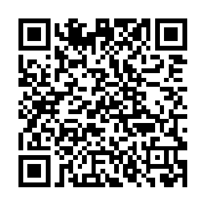 这片由无数尸骸组成的荒漠里清晰可见森森白骨出现二维码生成