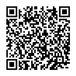 这犀牛精的力量几乎可以称得上是楚旬遇到过的界主大妖中的最强者二维码生成