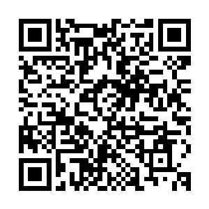 这独眼巨人跟林铭在修罗路荒人坟墓所看到的盘岭巨人有些类似二维码生成