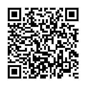 这猩猩巨妖全力一棍也重重轰击在了愤怒手中的曼殊沙华之剑上二维码生成