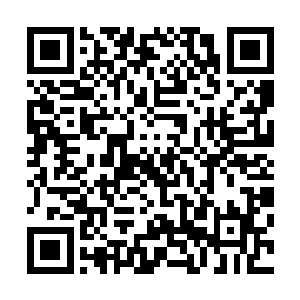 这玄武七截阵确实就是两万年前东域大宗玄武宗的秘传阵法二维码生成