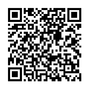 这玄水巨蟒的蟒皮的防御力可是丝毫不弱于玄冰天蚕甲的二维码生成