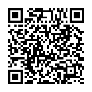 这玩意其实是意大利伯莱塔公司专门设计给意大利特种部队用的二维码生成