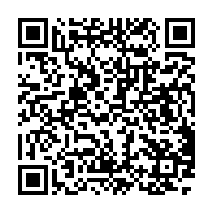 这用词怎么感觉像是他们梦寐以求的灵宠在他看来只是街上的大白菜呢二维码生成