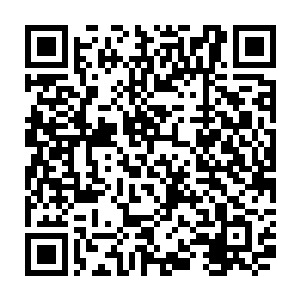 这男子所说的朝圣之行就是随同这些修罗和阿修罗一同前往修罗海参拜血祖了二维码生成